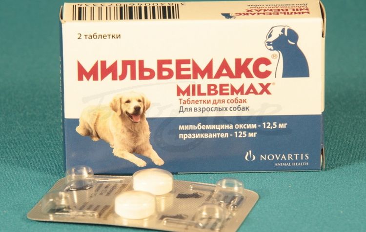 Tabletas antiparasitarias Milbemax para perros