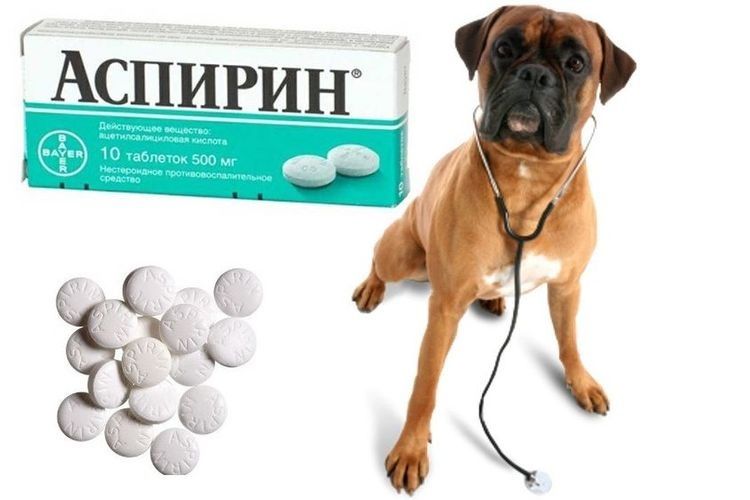 Aspirina para perros