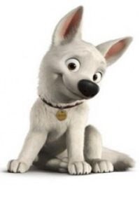 Bolt