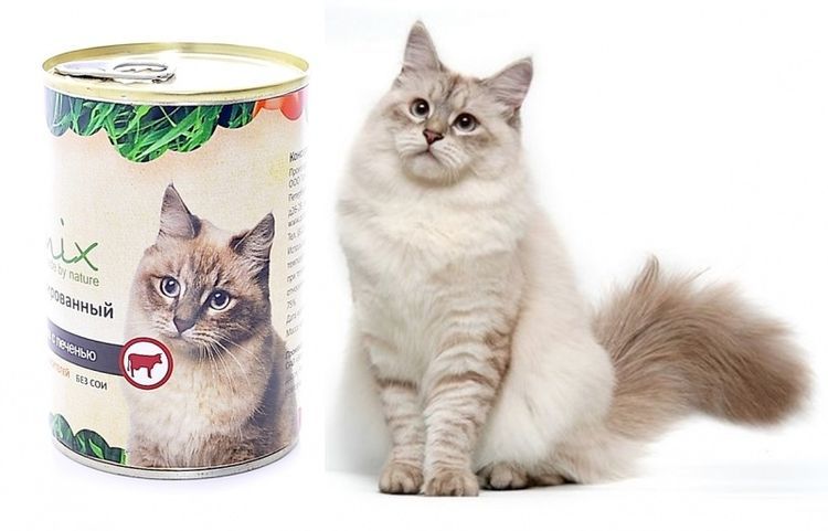 Alimentos para gatos Organix