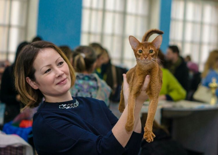Katze aus der Zuchtstätte ORANGE MARMELAD