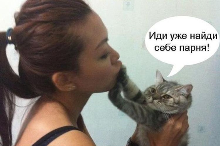 El gato empuja a su dueña con la pata