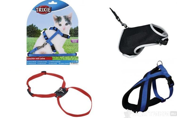 Tipos de arneses para gatos