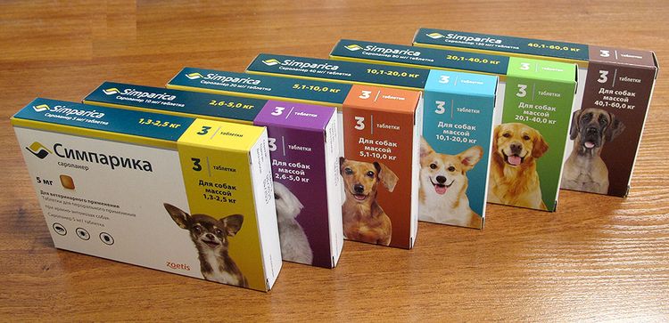 Simparica para perros