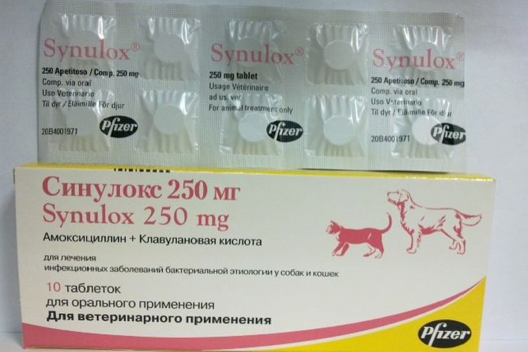 Comprimidos de Sinulox