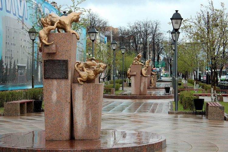 Foto de la plaza de los gatos
