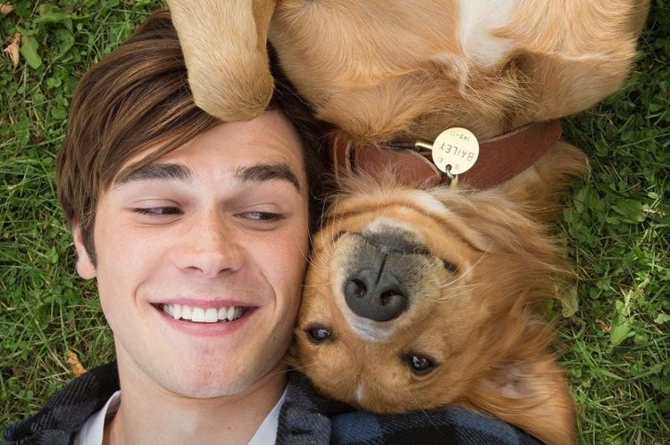 El perro de Archie Andrews