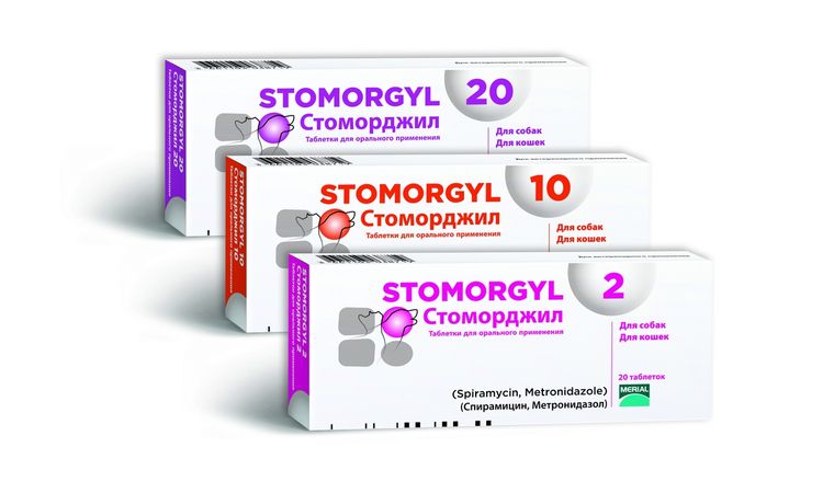 Stomorgil para gatos