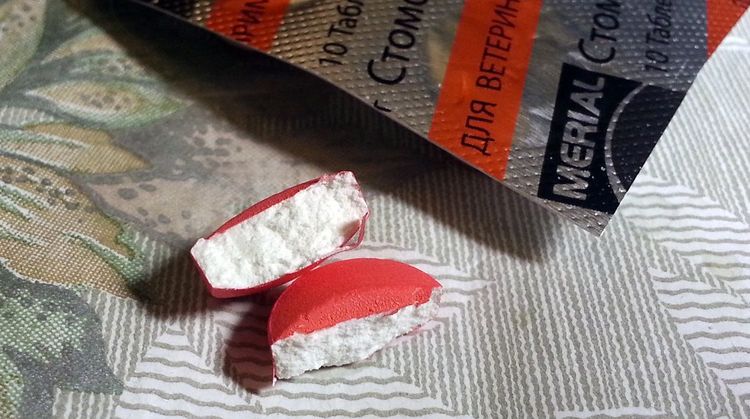 Comprimidos Stomorgyl para gatos