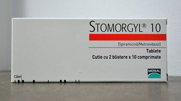 Stomorgil para gatos