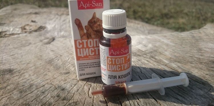 Medicamento para gatos sobre un tocón