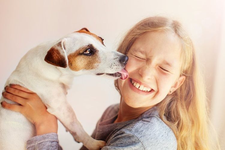 Glücklicher Hund