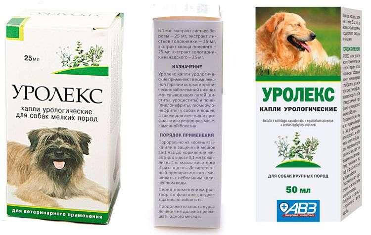 Urolex für Hunde