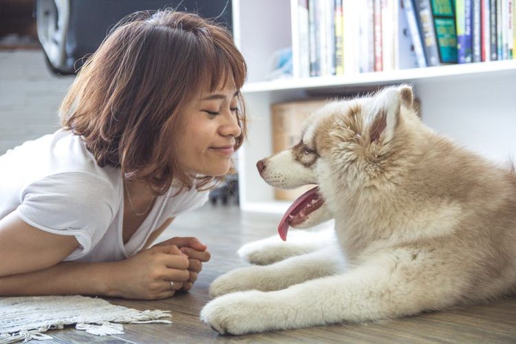 Chica y husky