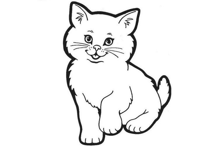 Gato para colorear