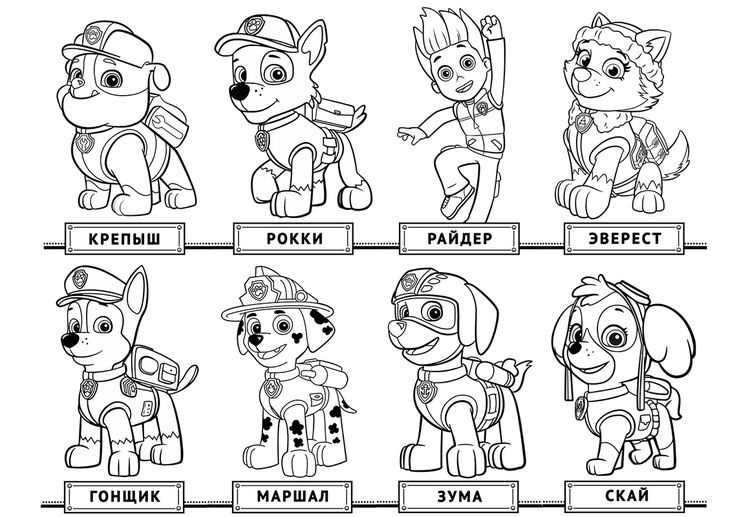Dibujo para colorear de La Patrulla Canina