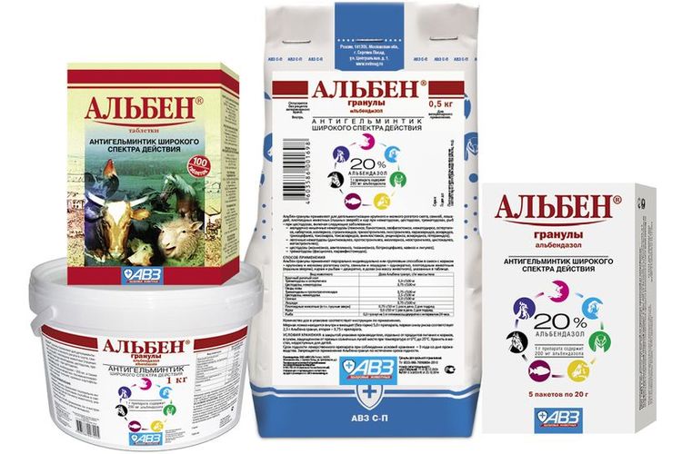 Albén para perros