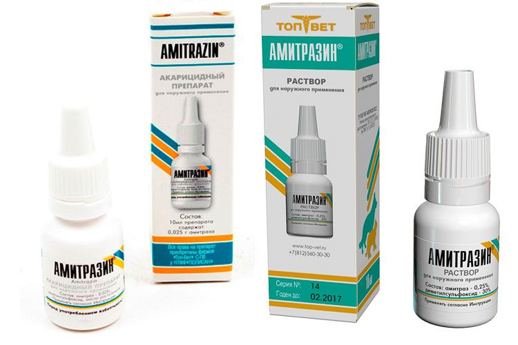 Amitrazin für Hunde
