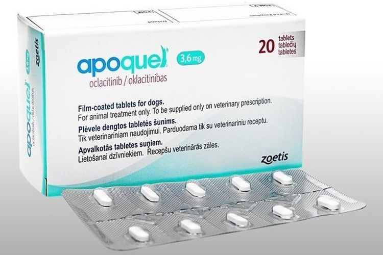 Apokvel para perros