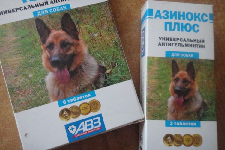 Azinox Plus para perros