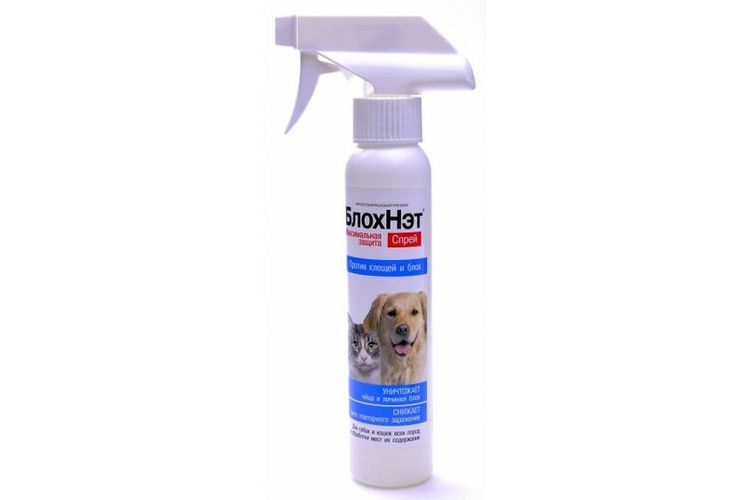 BlojNet para perros