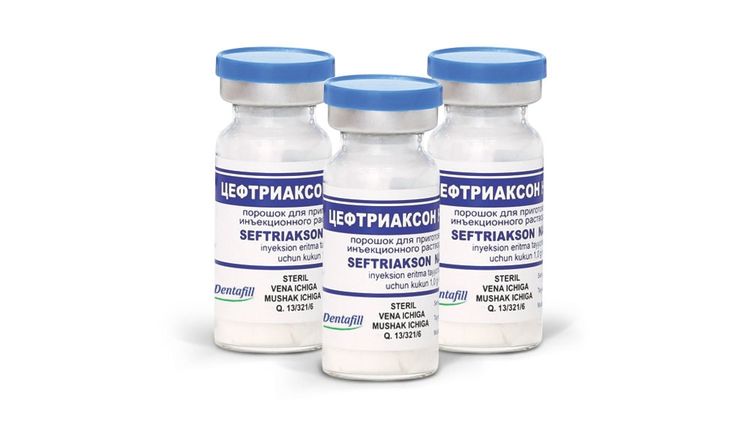 Ceftriaxona para perros