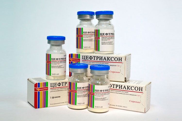 Ceftriaxona para perros