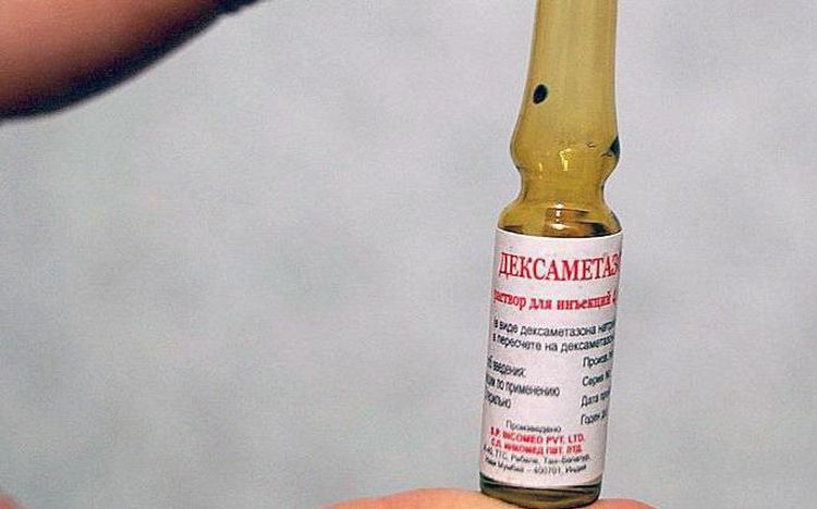 Dexametasona para perros