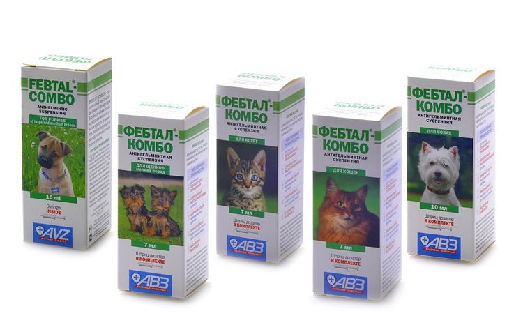 Febtal para perros
