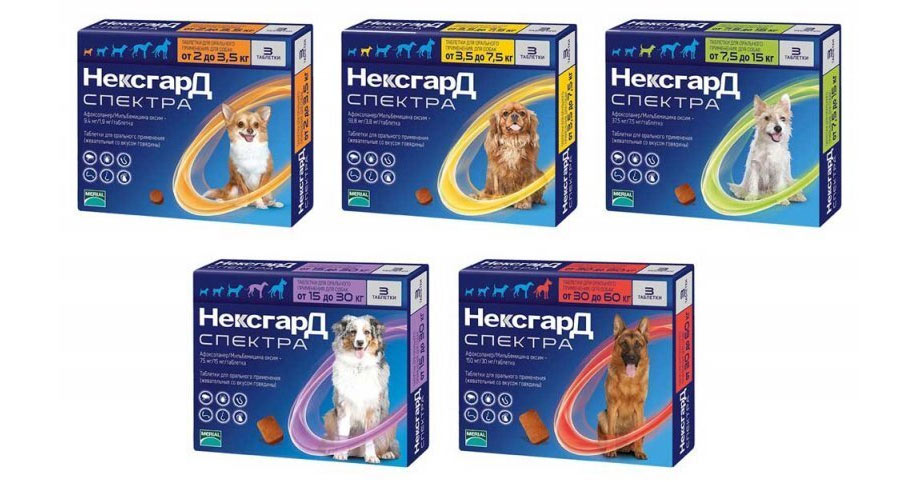 NexGard Spectra