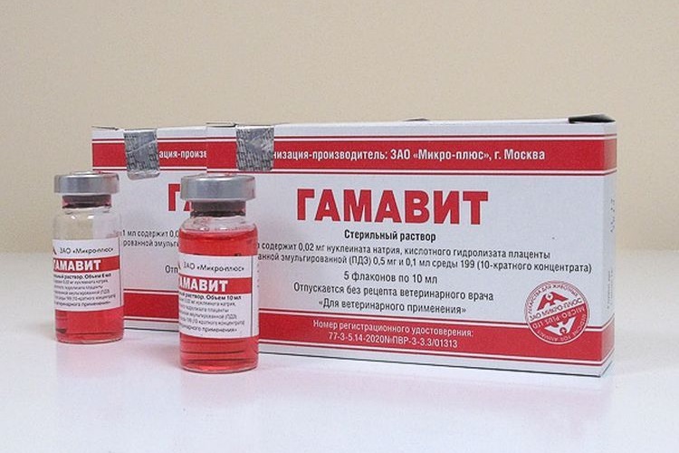 Gamavit para perros