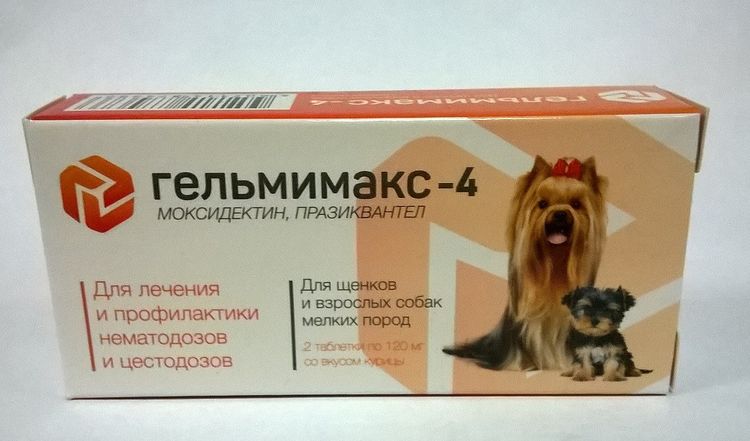 Gelmimax para perros