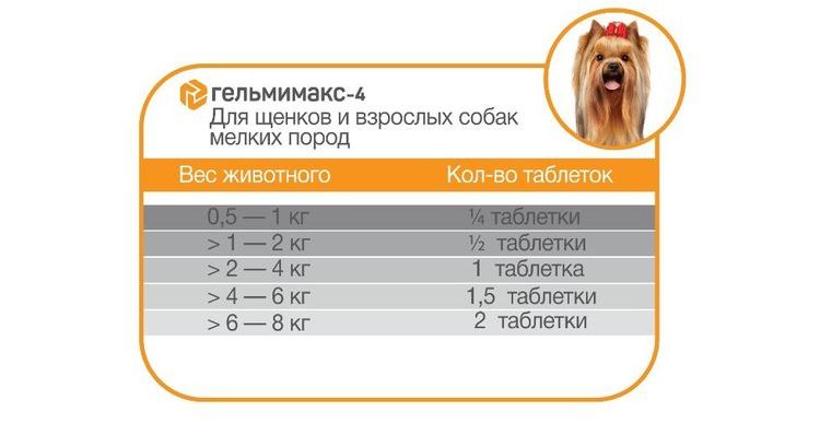 Instrucciones para Gelmimax-4