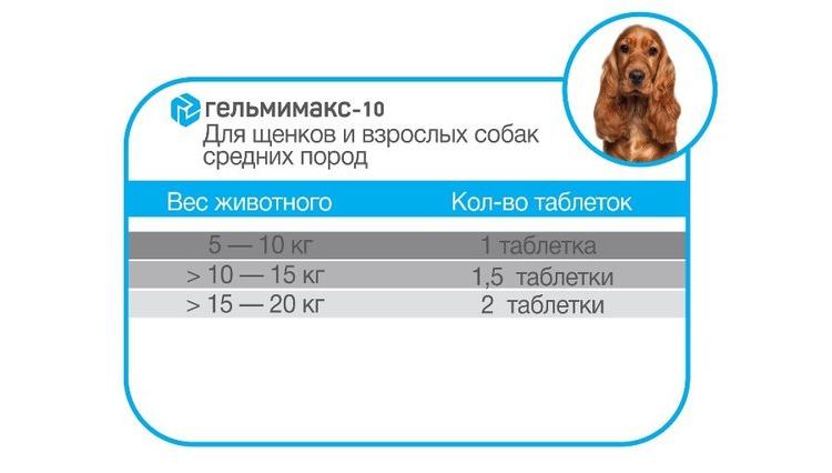 Instrucciones para Gelmimax-10