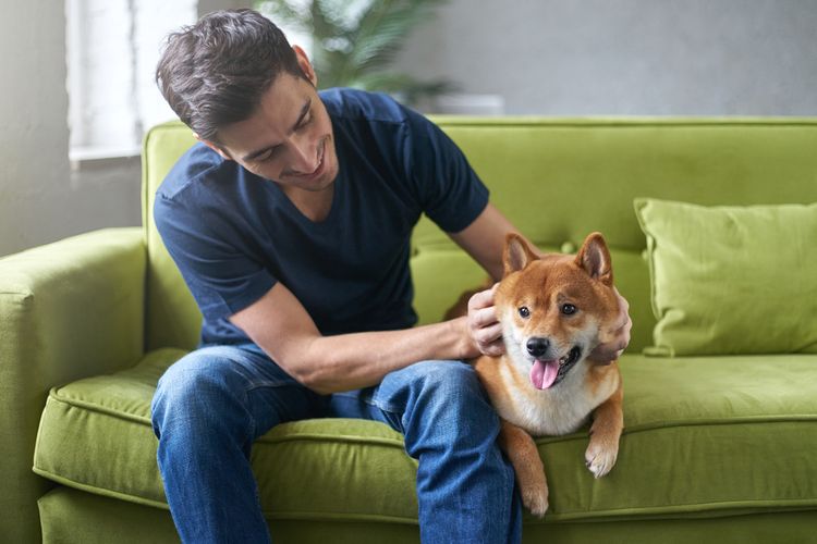 Perro tumbado junto a su dueño