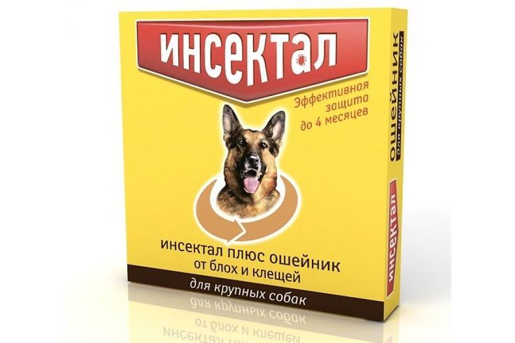 Insectal para perros