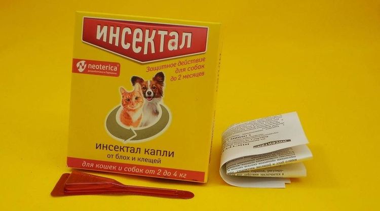Insectal para perros