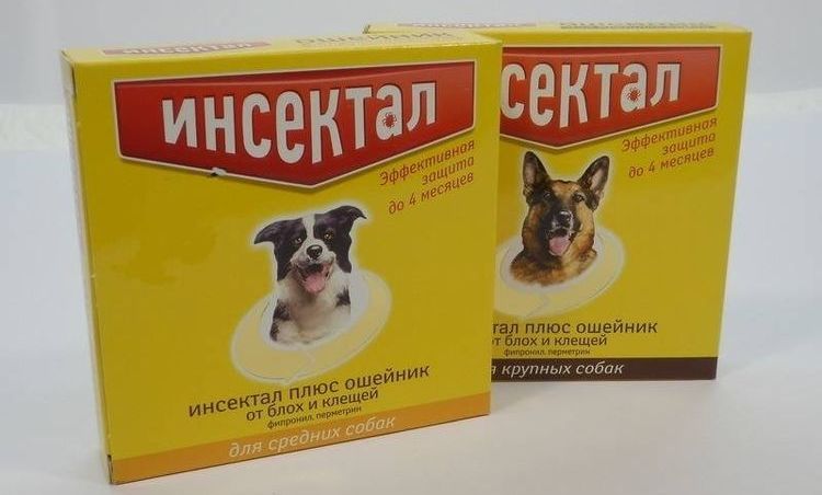 Insectal para perros