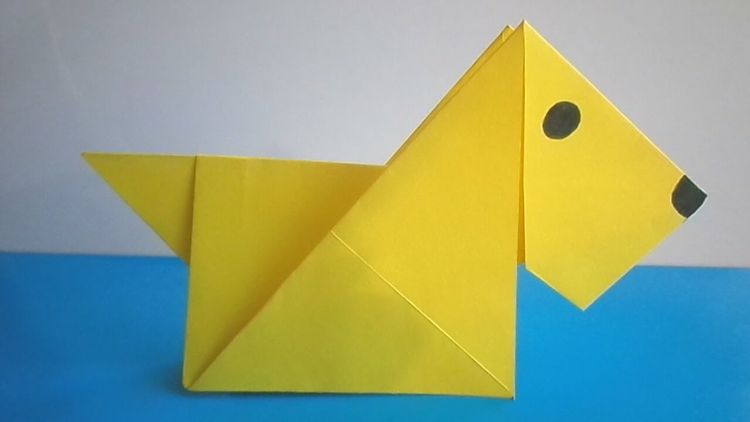 Terrier de papel