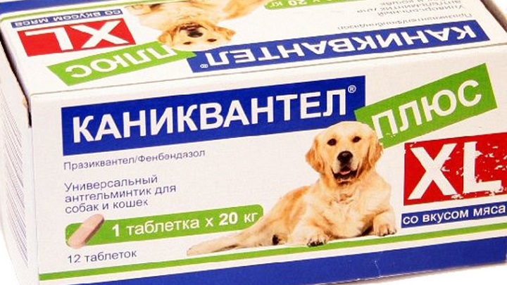 Kanikvantel Plus für Hunde