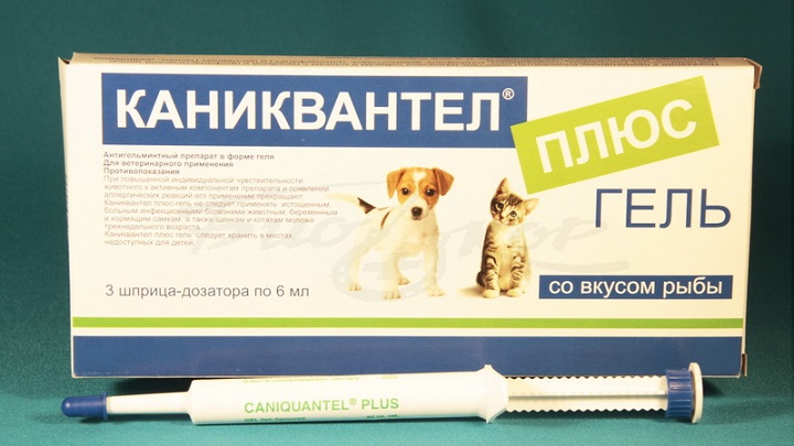 Kanikvantel plus in der Spritze