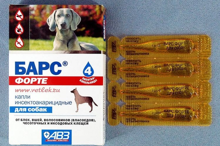 Gotas Bars para perros