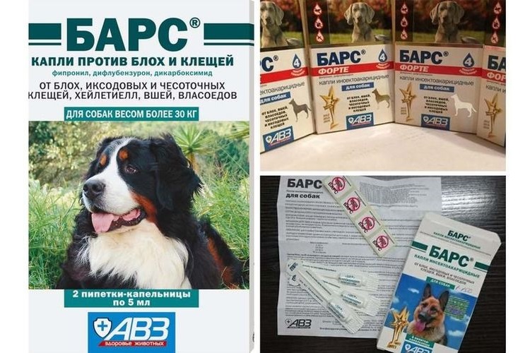 Gotas Bars para perros