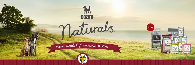 Piensos Bozita para perros