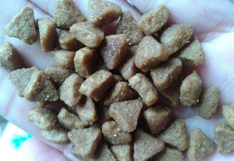 Granulados para perros Cuatro Patas