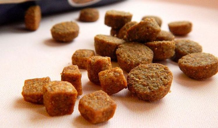 Pachuli Chetyre Lapy