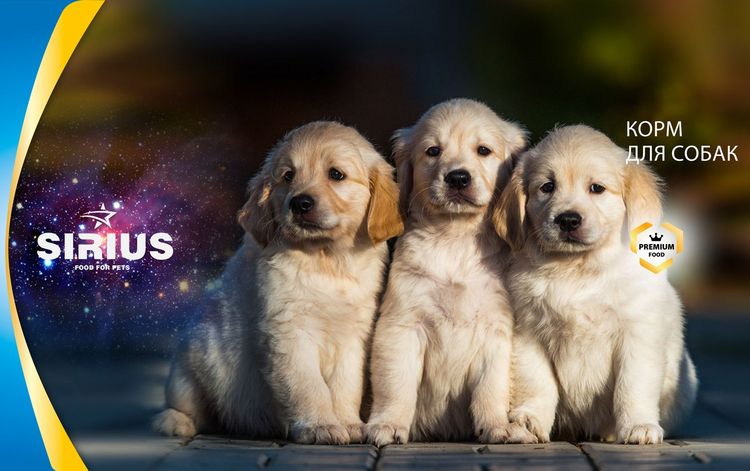 Alimento para perros Sirius