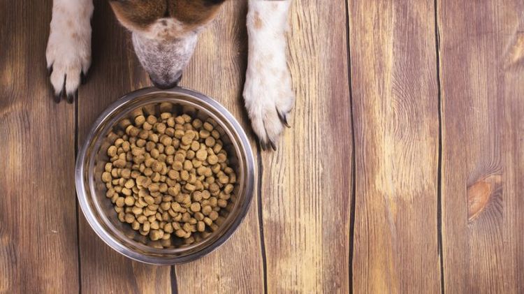 Alimento para perros Sirius