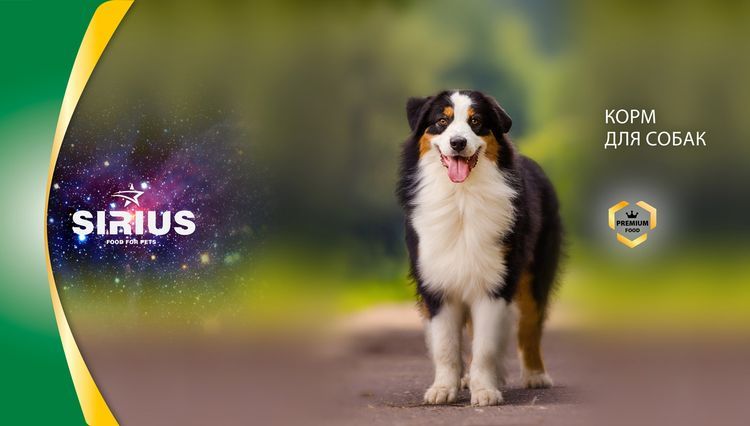 Alimento para perros Sirius