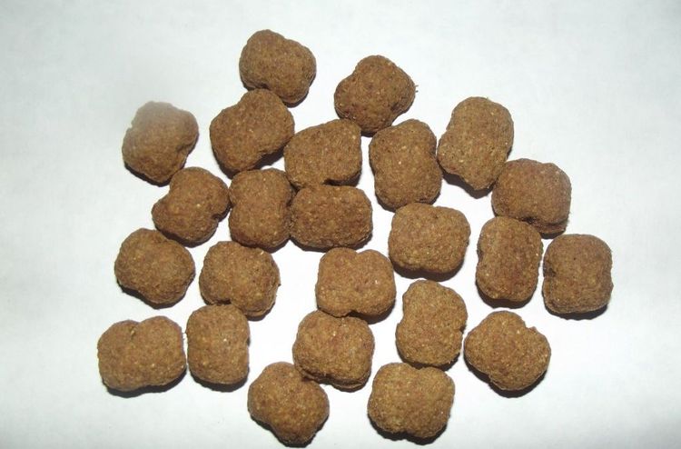 Gránulos de alimento seco para perros